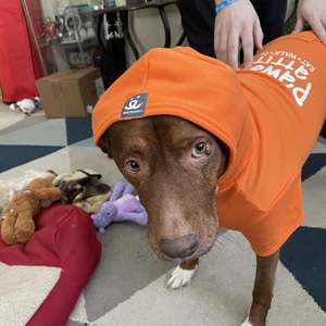 Melissa Baptiewright